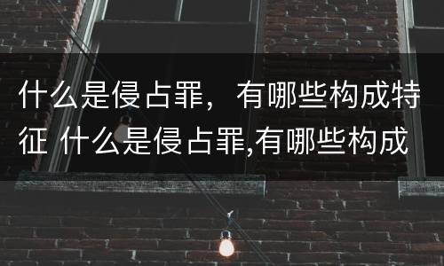 什么是侵占罪，有哪些构成特征 什么是侵占罪,有哪些构成特征呢