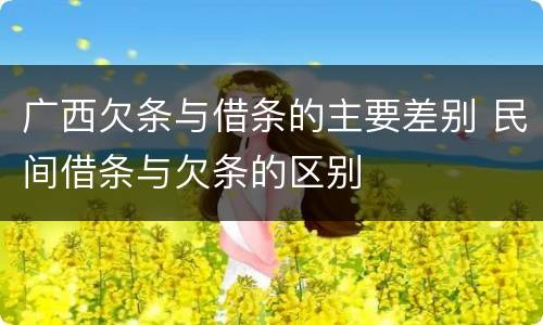 广西欠条与借条的主要差别 民间借条与欠条的区别