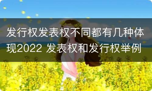 发行权发表权不同都有几种体现2022 发表权和发行权举例