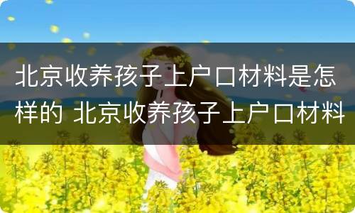 北京收养孩子上户口材料是怎样的 北京收养孩子上户口材料是怎样的要求