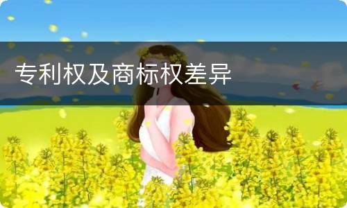 专利权及商标权差异