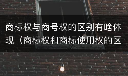 商标权与商号权的区别有啥体现（商标权和商标使用权的区别）