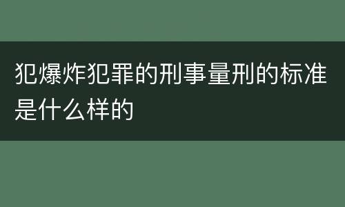 犯爆炸犯罪的刑事量刑的标准是什么样的