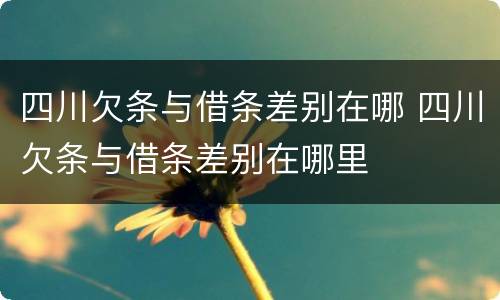 四川欠条与借条差别在哪 四川欠条与借条差别在哪里