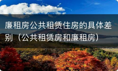 廉租房公共租赁住房的具体差别（公共租赁房和廉租房）