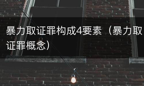 暴力取证罪构成4要素（暴力取证罪概念）
