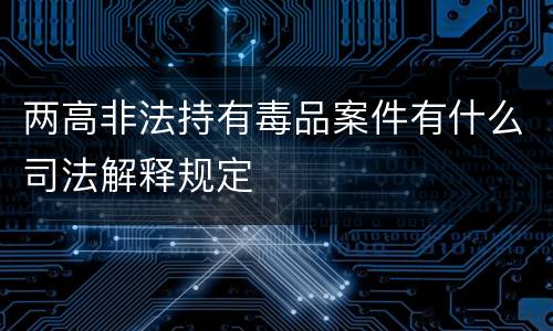 两高非法持有毒品案件有什么司法解释规定