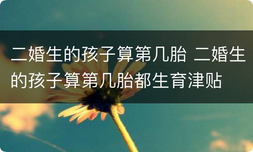 二婚生的孩子算第几胎 二婚生的孩子算第几胎都生育津贴