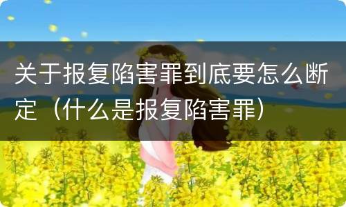 关于报复陷害罪到底要怎么断定（什么是报复陷害罪）