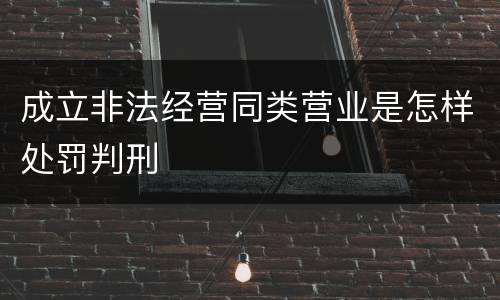 成立非法经营同类营业是怎样处罚判刑