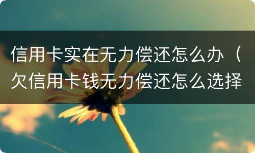 信用卡实在无力偿还怎么办（欠信用卡钱无力偿还怎么选择）