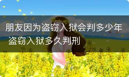 朋友因为盗窃入狱会判多少年 盗窃入狱多久判刑