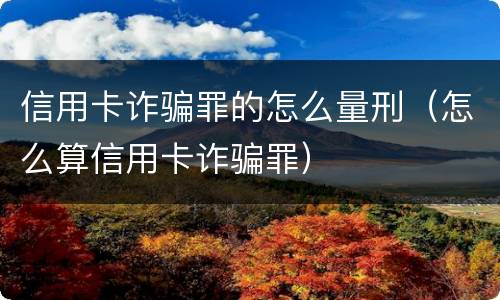 信用卡诈骗罪的怎么量刑（怎么算信用卡诈骗罪）