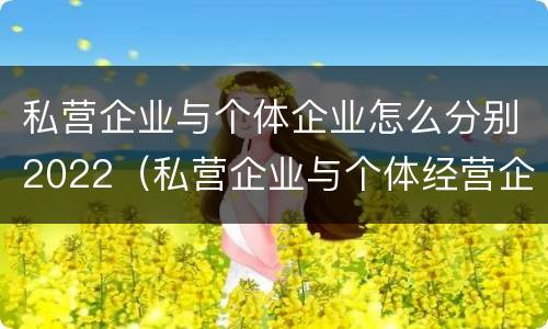 私营企业与个体企业怎么分别2022（私营企业与个体经营企业的区别）