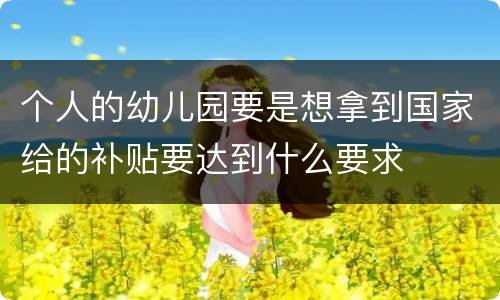 个人的幼儿园要是想拿到国家给的补贴要达到什么要求