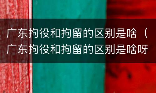 广东拘役和拘留的区别是啥（广东拘役和拘留的区别是啥呀）
