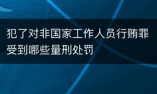 犯了对非国家工作人员行贿罪受到哪些量刑处罚