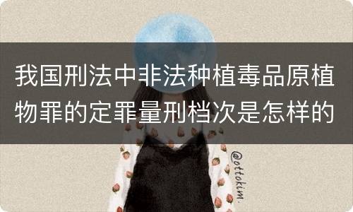 我国刑法中非法种植毒品原植物罪的定罪量刑档次是怎样的