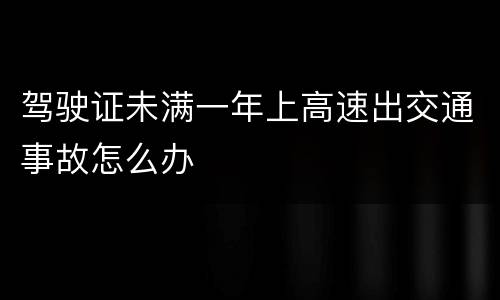 驾驶证未满一年上高速出交通事故怎么办