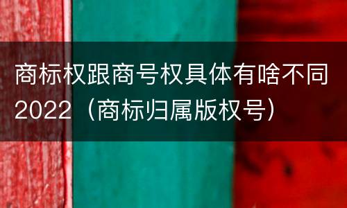 商标权跟商号权具体有啥不同2022（商标归属版权号）