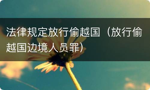 法律规定放行偷越国（放行偷越国边境人员罪）