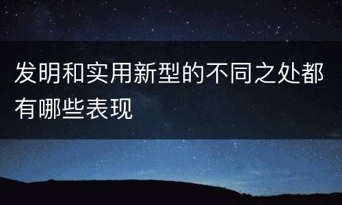 发明和实用新型的不同之处都有哪些表现