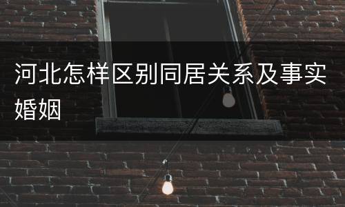 河北怎样区别同居关系及事实婚姻