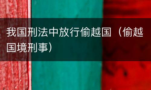 我国刑法中放行偷越国（偷越国境刑事）