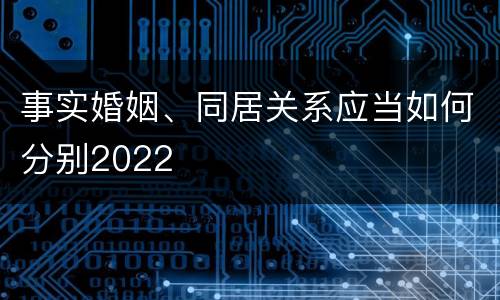 事实婚姻、同居关系应当如何分别2022