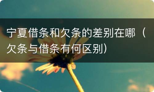宁夏借条和欠条的差别在哪（欠条与借条有何区别）
