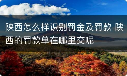 陕西怎么样识别罚金及罚款 陕西的罚款单在哪里交呢
