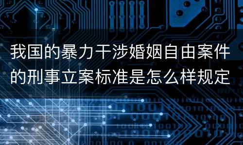 我国的暴力干涉婚姻自由案件的刑事立案标准是怎么样规定