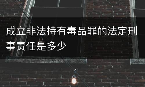 成立非法持有毒品罪的法定刑事责任是多少