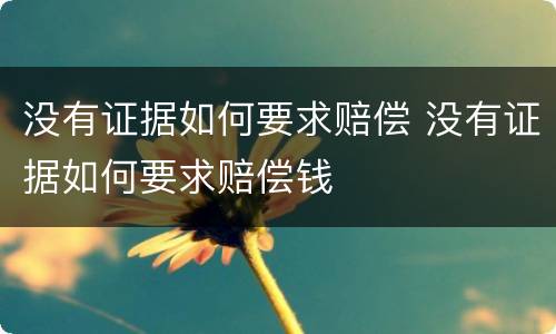 没有证据如何要求赔偿 没有证据如何要求赔偿钱