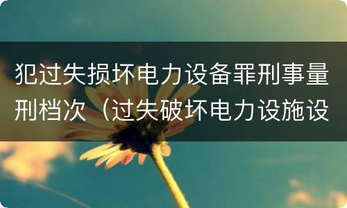 犯过失损坏电力设备罪刑事量刑档次（过失破坏电力设施设备罪）