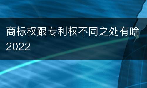 商标权跟专利权不同之处有啥2022