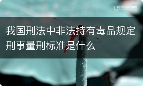 我国刑法中非法持有毒品规定刑事量刑标准是什么