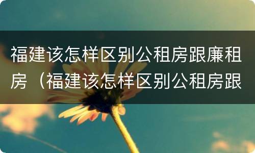 福建该怎样区别公租房跟廉租房（福建该怎样区别公租房跟廉租房呢）