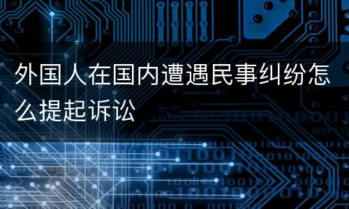 外国人在国内遭遇民事纠纷怎么提起诉讼