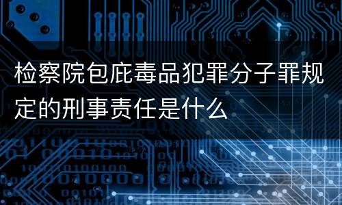 检察院包庇毒品犯罪分子罪规定的刑事责任是什么