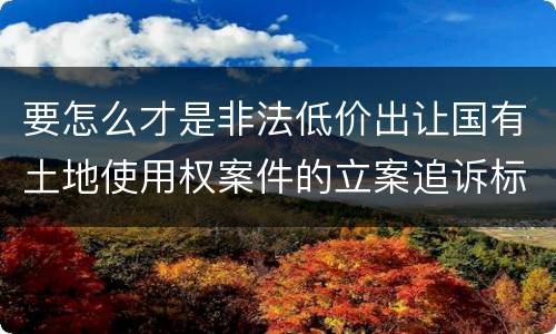 要怎么才是非法低价出让国有土地使用权案件的立案追诉标准
