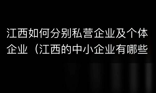 江西如何分别私营企业及个体企业（江西的中小企业有哪些）