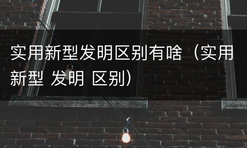 实用新型发明区别有啥（实用新型 发明 区别）