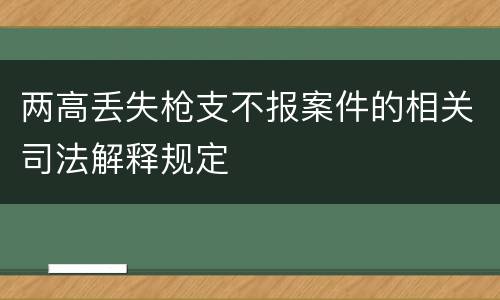 两高丢失枪支不报案件的相关司法解释规定