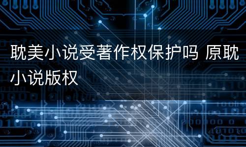 耽美小说受著作权保护吗 原耽小说版权