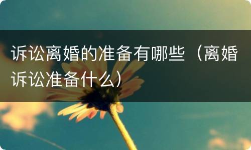 诉讼离婚的准备有哪些（离婚诉讼准备什么）