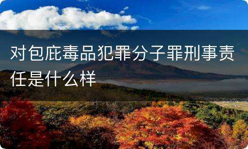 对包庇毒品犯罪分子罪刑事责任是什么样