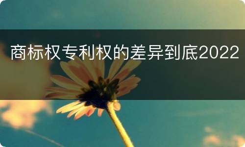 商标权专利权的差异到底2022