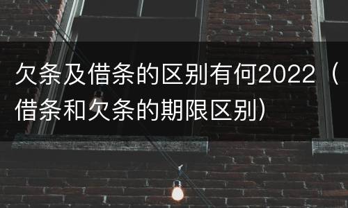 欠条及借条的区别有何2022（借条和欠条的期限区别）