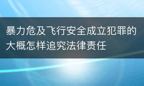 暴力危及飞行安全成立犯罪的大概怎样追究法律责任